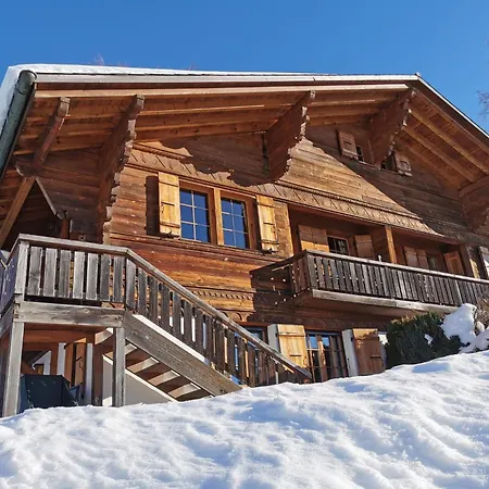 Les Hivernants - Eg Links By Interhome * Gstaad